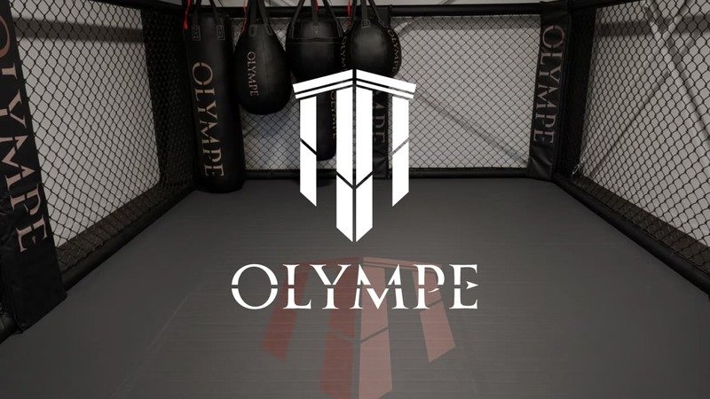 Logo Olympe